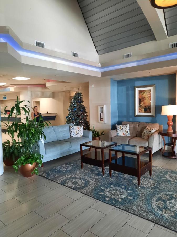 A Happy Seashell Story Aparthotel Daytona Beach Exterior foto